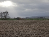 feldmark