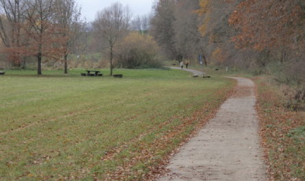 Kurz vor dem Wendebachstausee