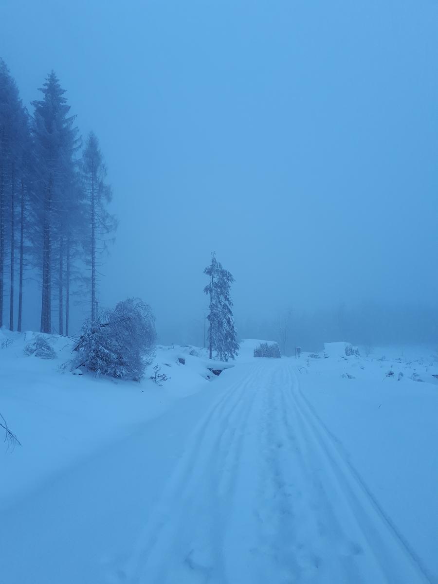 der Weg im Schnee