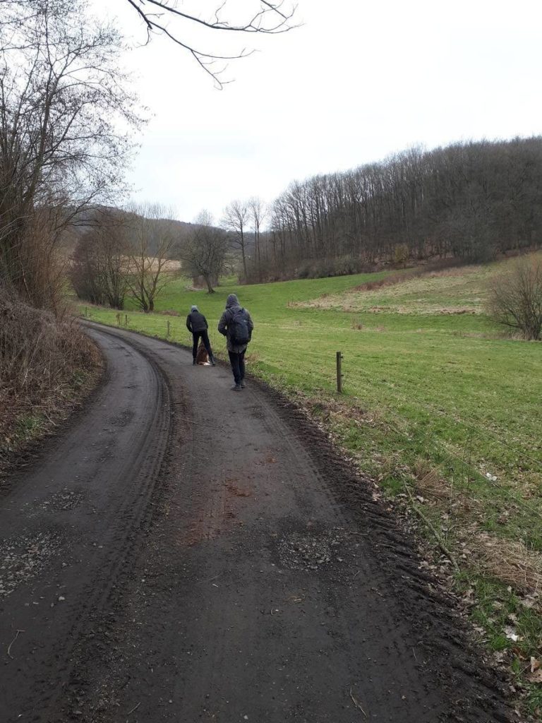 Wanderweg von Ahrenberg zum Roßkopfturm