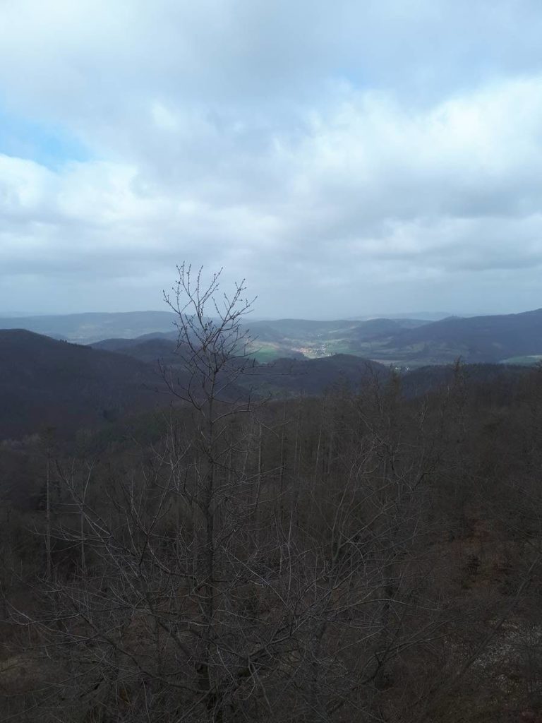 Blick vom Roßkopfturm