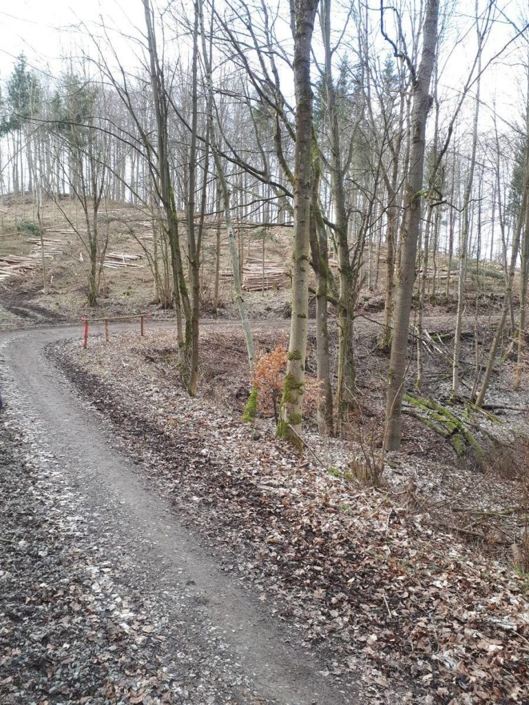 Wanderweg von Ahrenberg zum Roßkopfturm