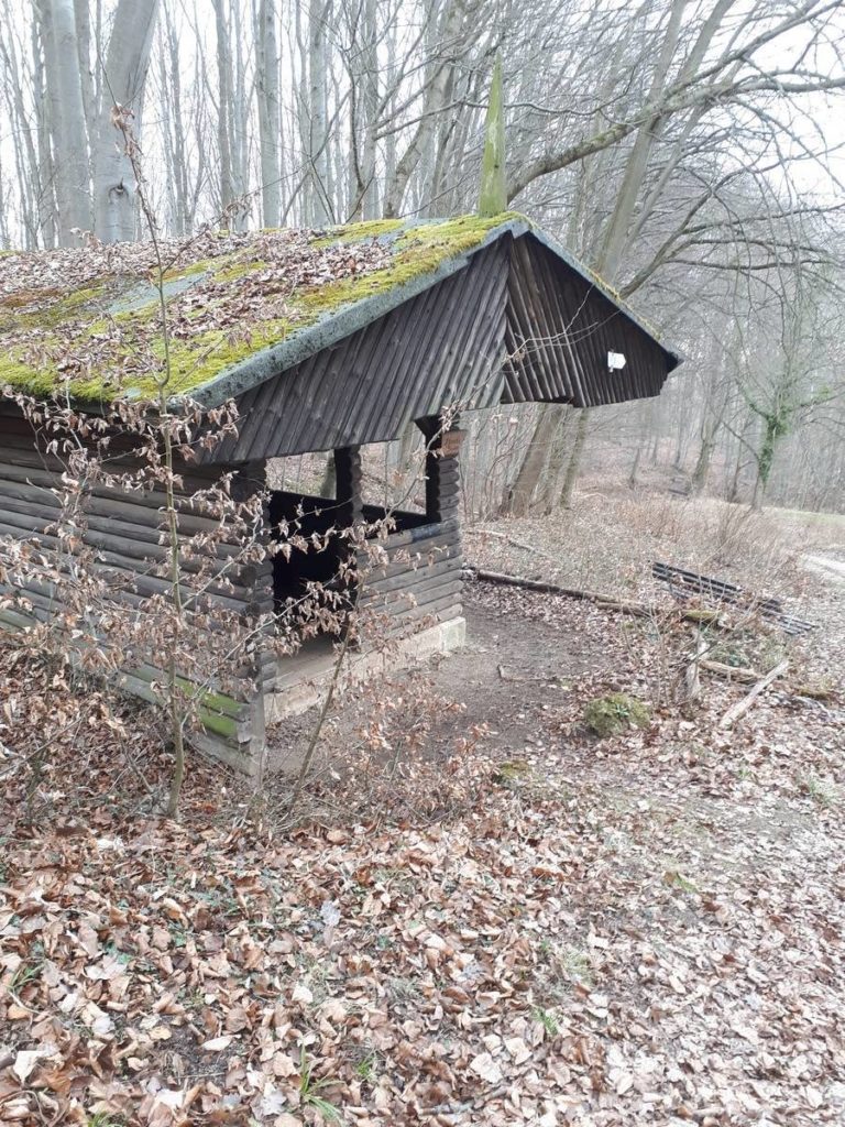 Wanderweg von Ahrenberg zum Roßkopfturm