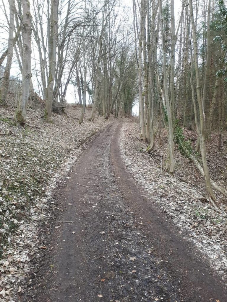 Wanderweg von Ahrenberg zum Roßkopfturm