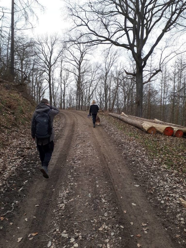 Wanderweg von Ahrenberg zum Roßkopfturm